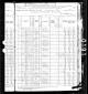 1880 Census, Clay City Township, Clay County, Illinois, page 21