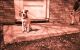 Bill Brown's dog
